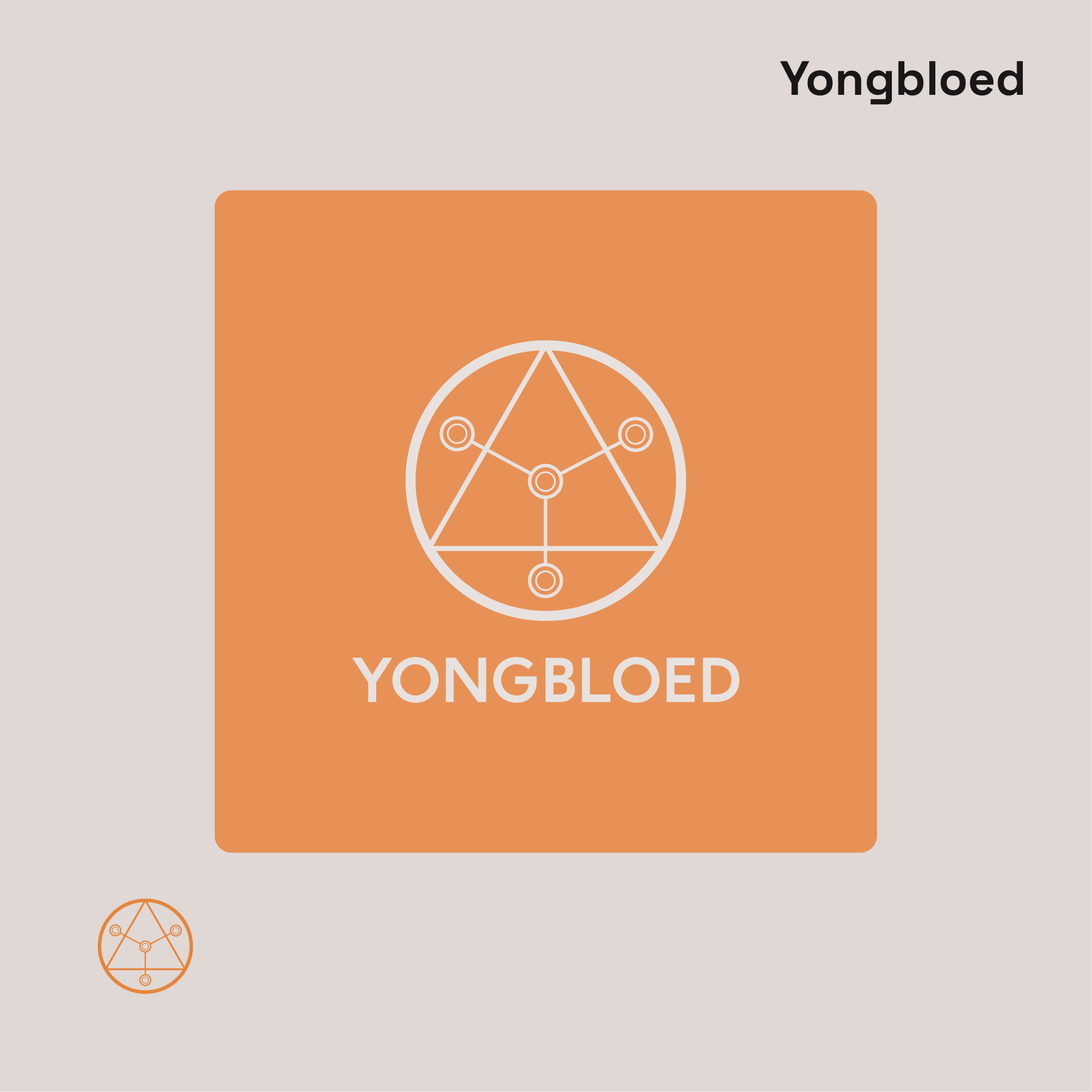 Yongbloed,Website Design & Coding